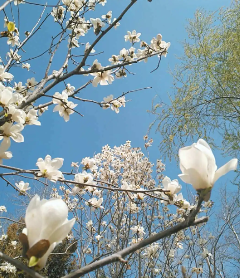 1709099373835314.jpg 1709099145978.jpg